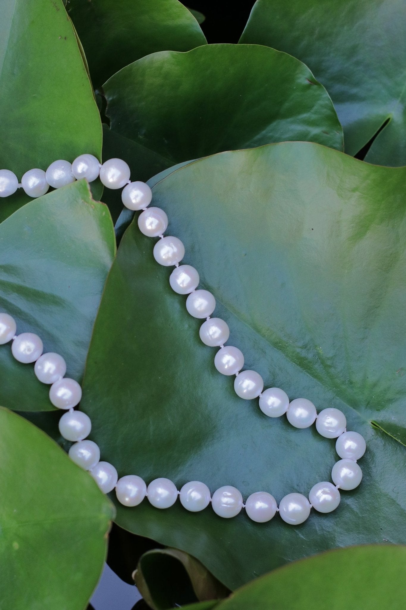 Timeless Classic Pearl NecklaceNuma EstiloNecklace